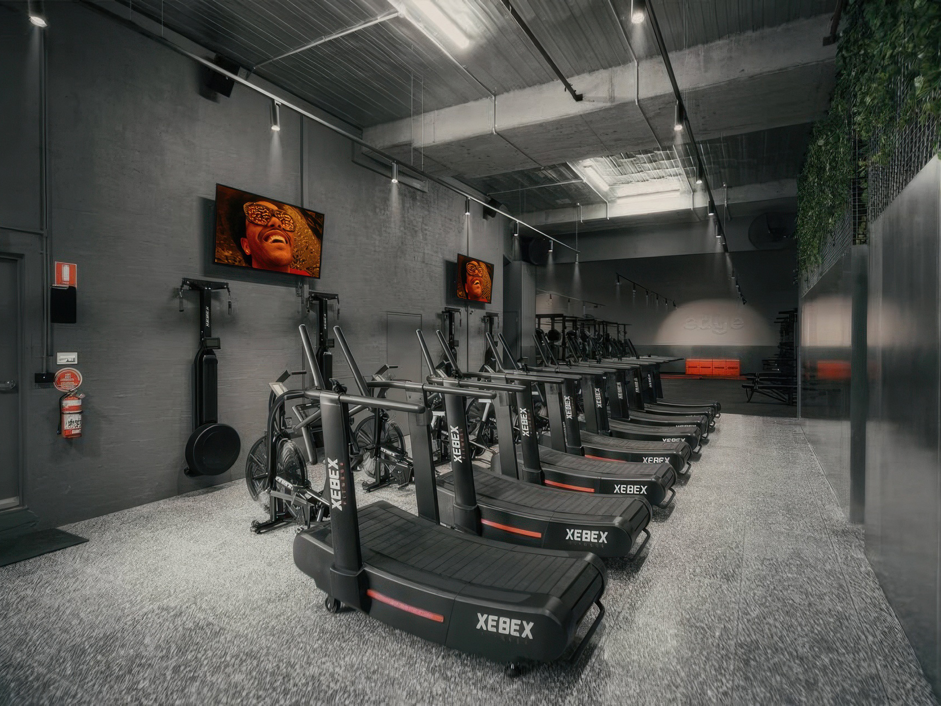 Edge Training Audio Visual System Gym Melbourne