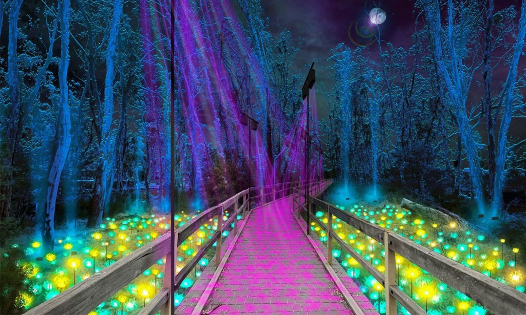 Moama Light and Sound Installation Blog Post Melbourne