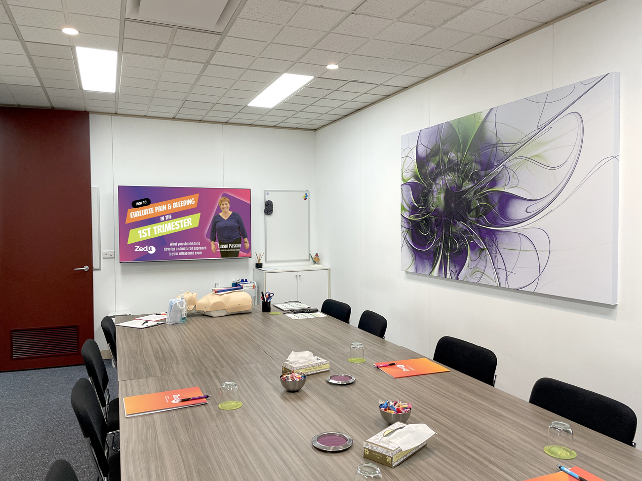 Zedu Ultrasound Training Audio Visual Install Melbourne Australia