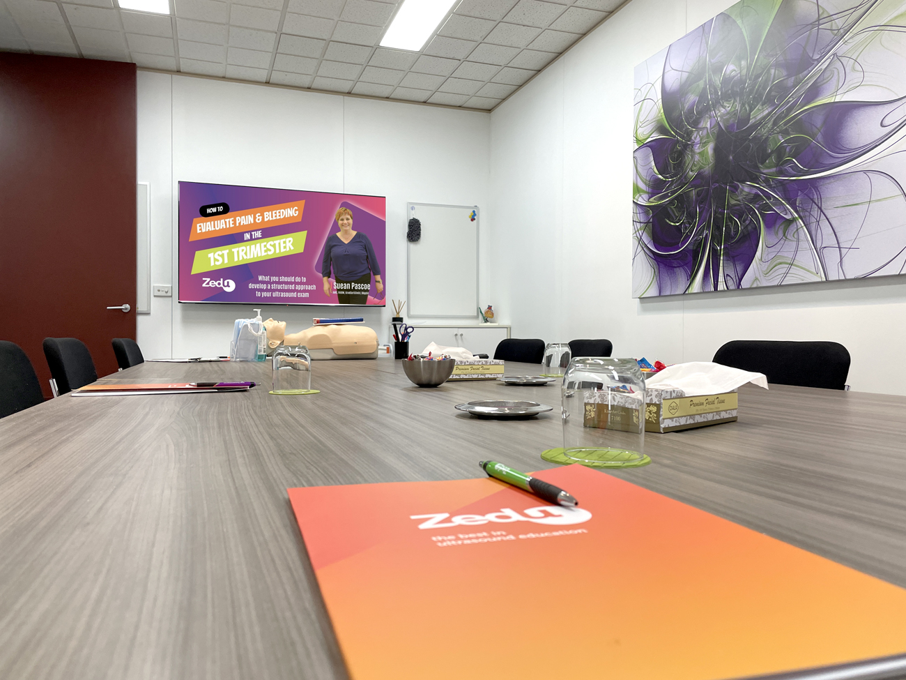 Zedu Ultrasound Training Audio Visual Install Melbourne Australia