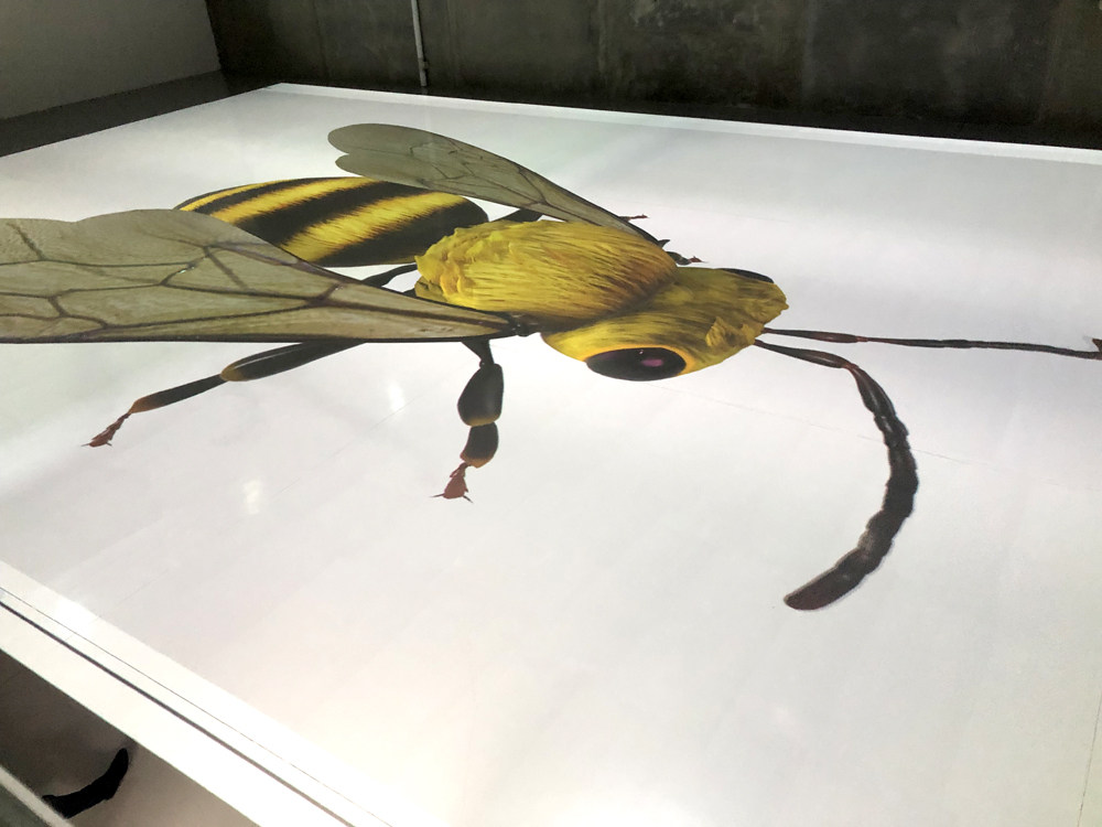 Building Reality - Floor Projection