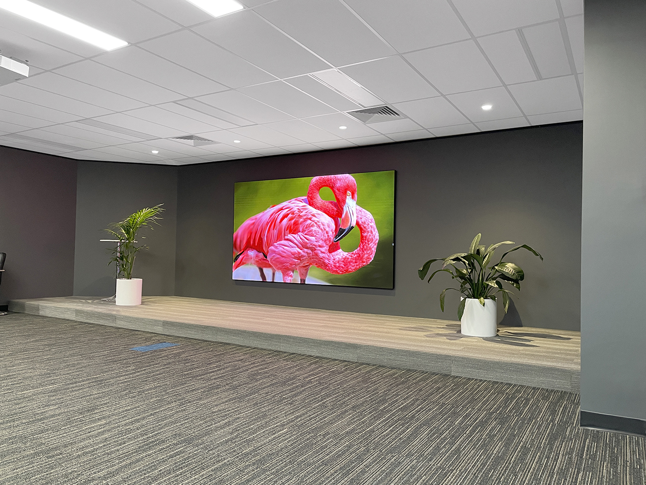 Selectronic - I-TV 138″ LED Wall Melbourne