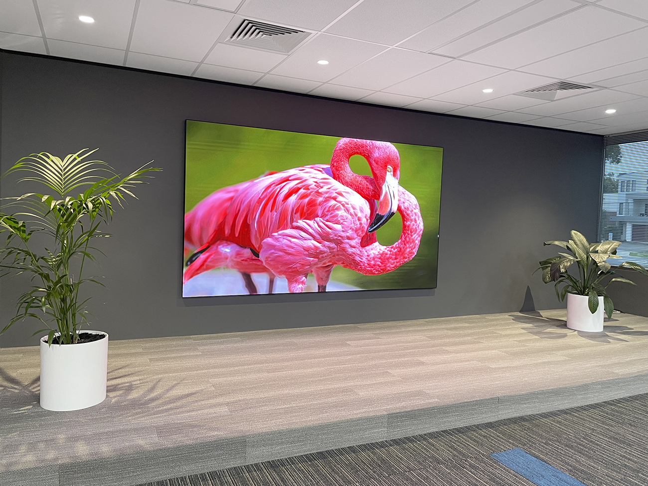 Selectronic - I-TV 138″ LED Wall Melbourne