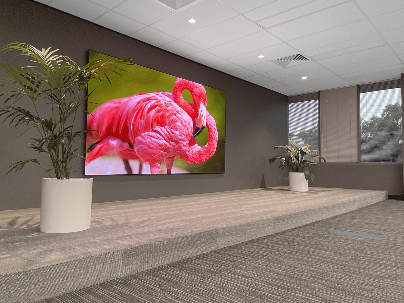 Selectronic - I-TV 138″ LED Wall Melbourne