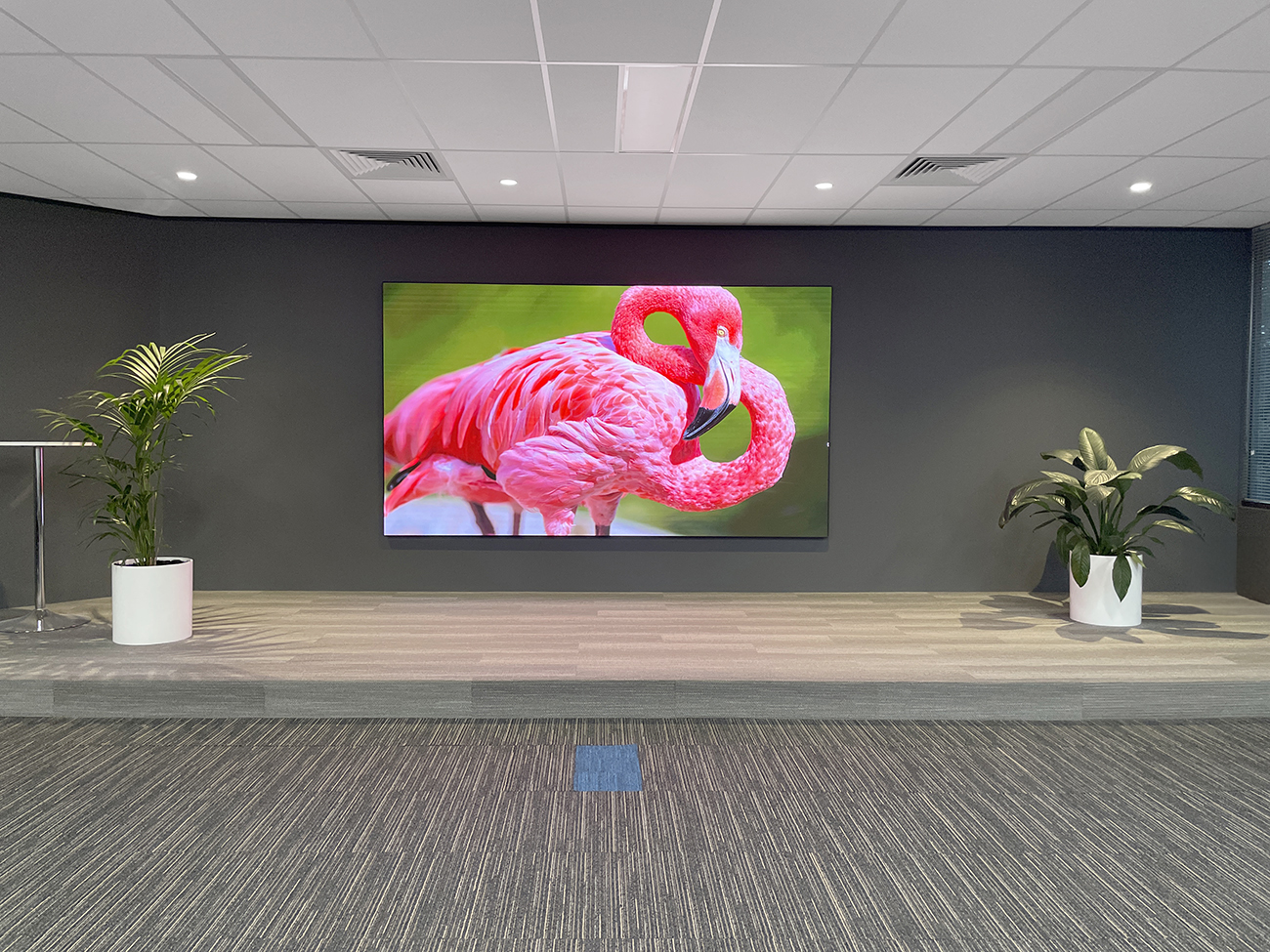 Selectronic - I-TV 138″ LED Wall Melbourne