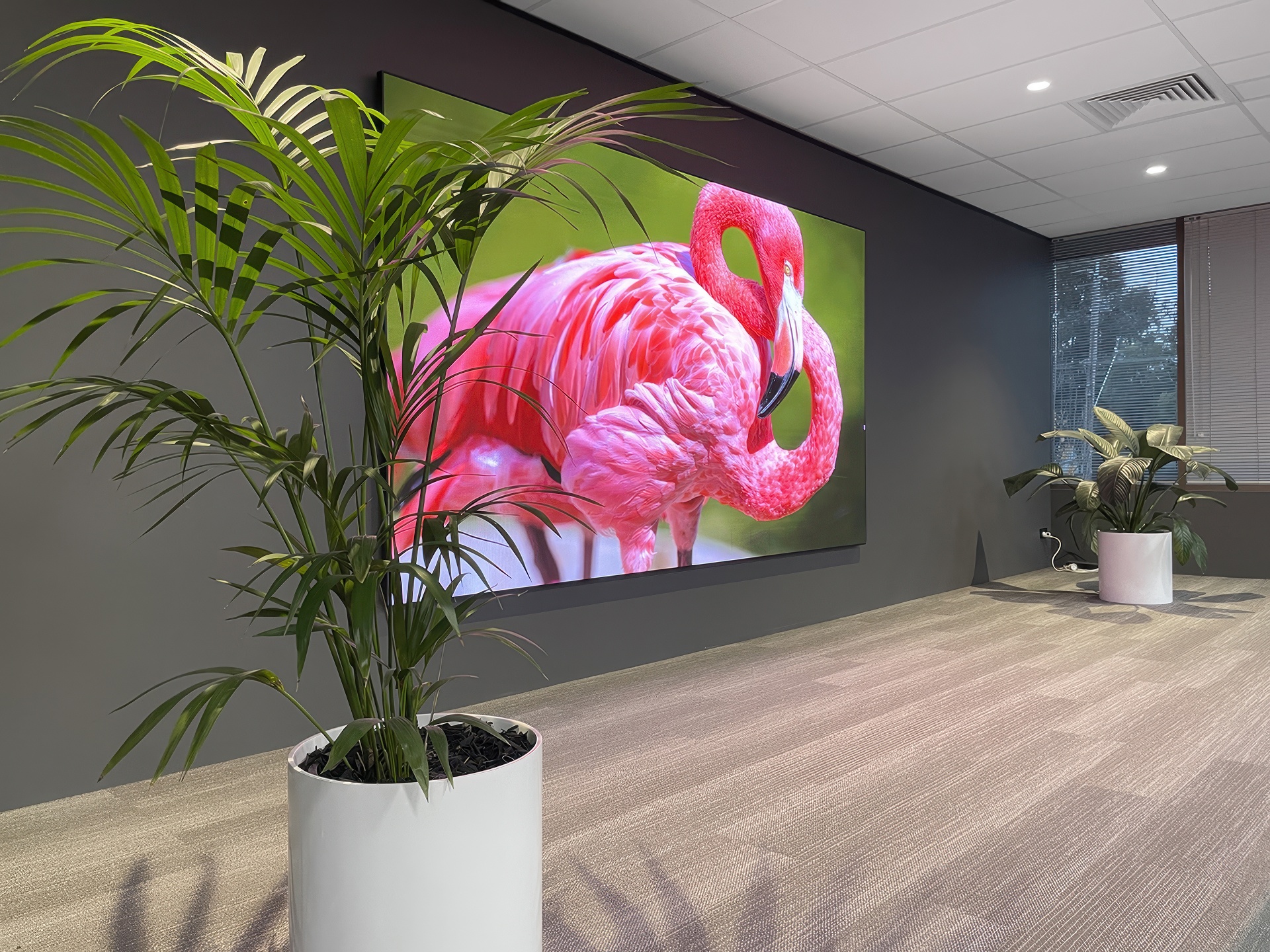 Selectronic - I-TV 138″ LED Wall Melbourne