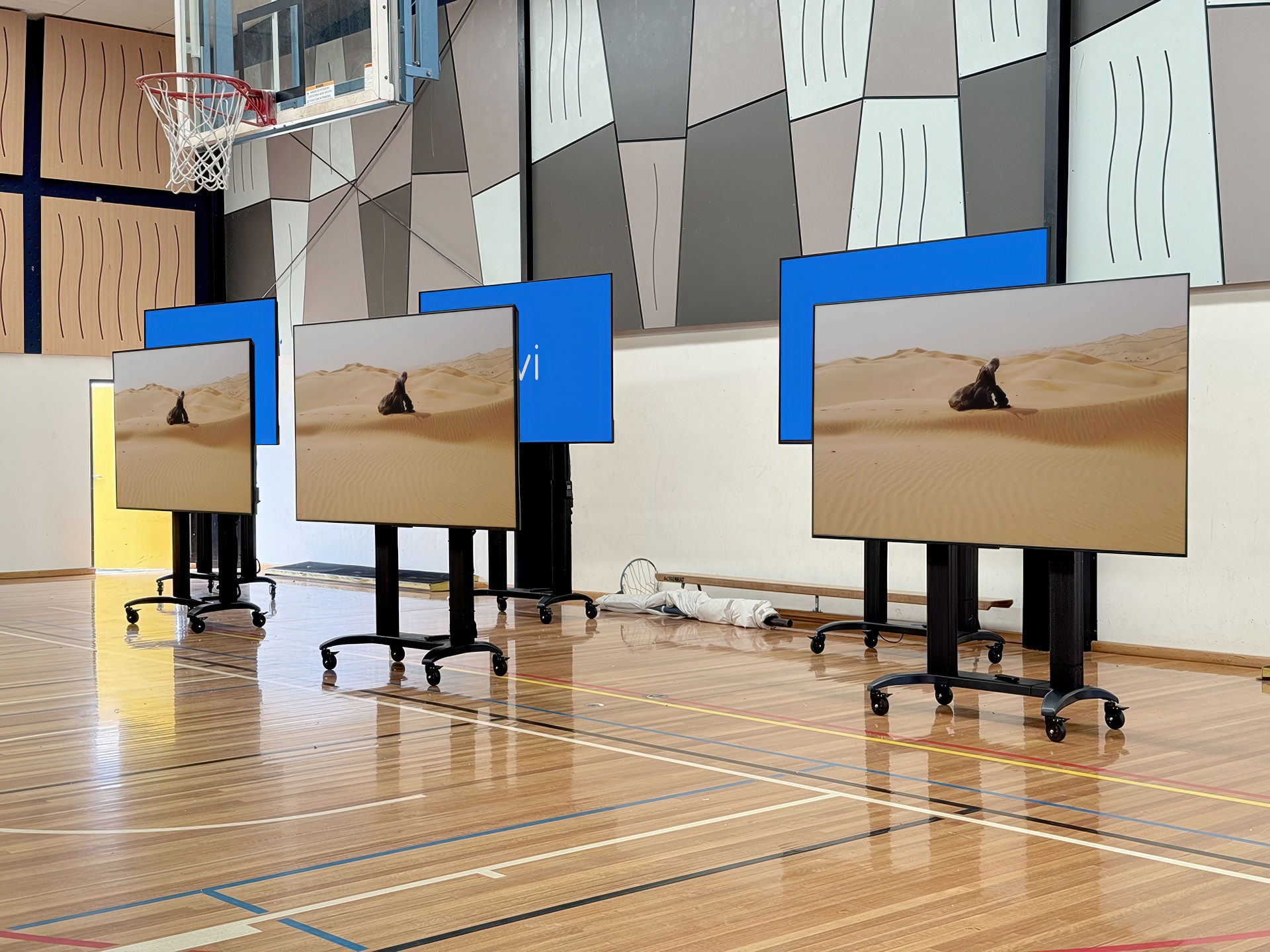 Case Study: Bacchus Marsh Grammar - Gymnasium Display Panel Upgrade