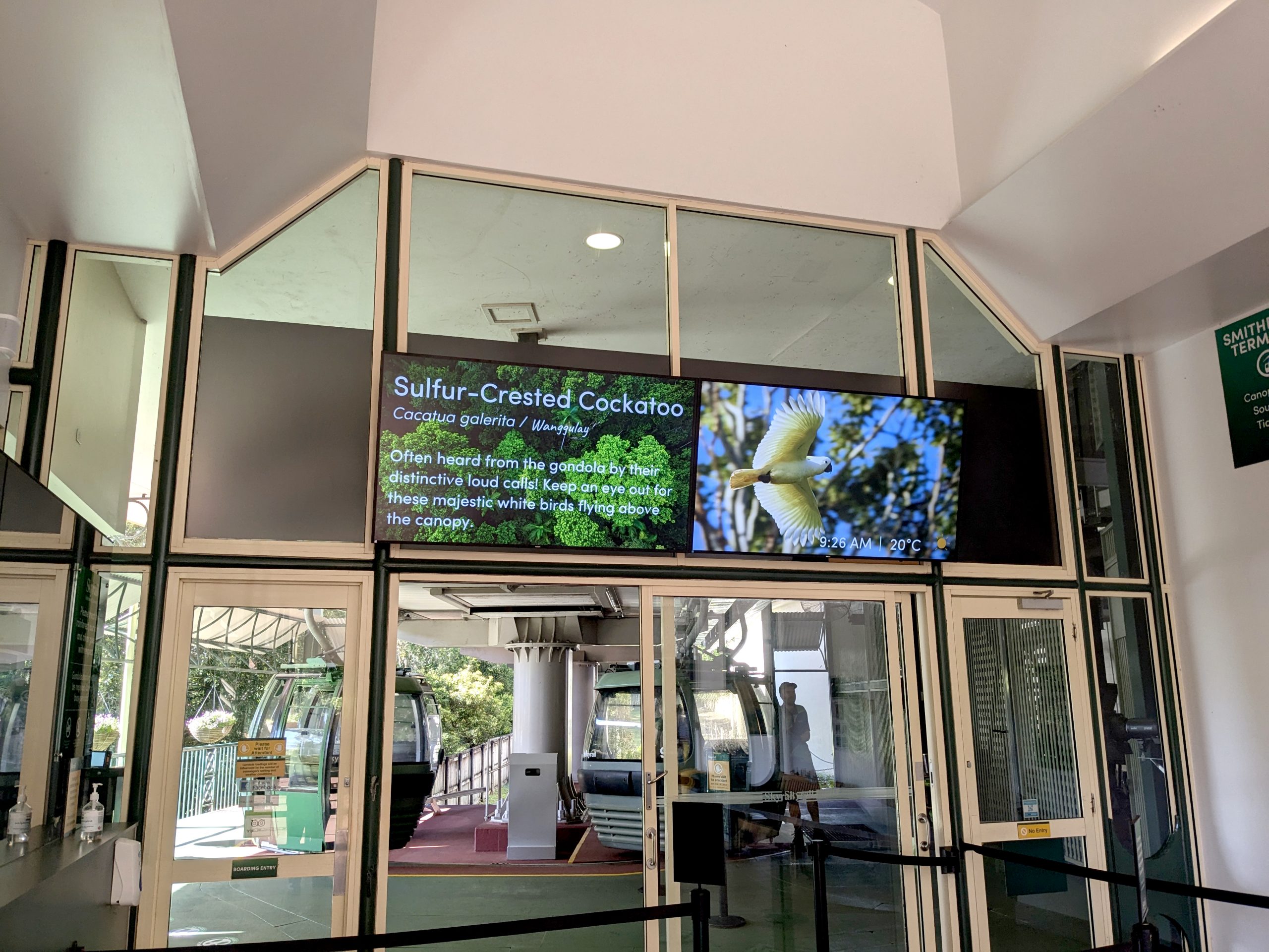 Case Study: Skyrail Rainforest Cableway - Digital Signage Installation in Melbourne, Australia