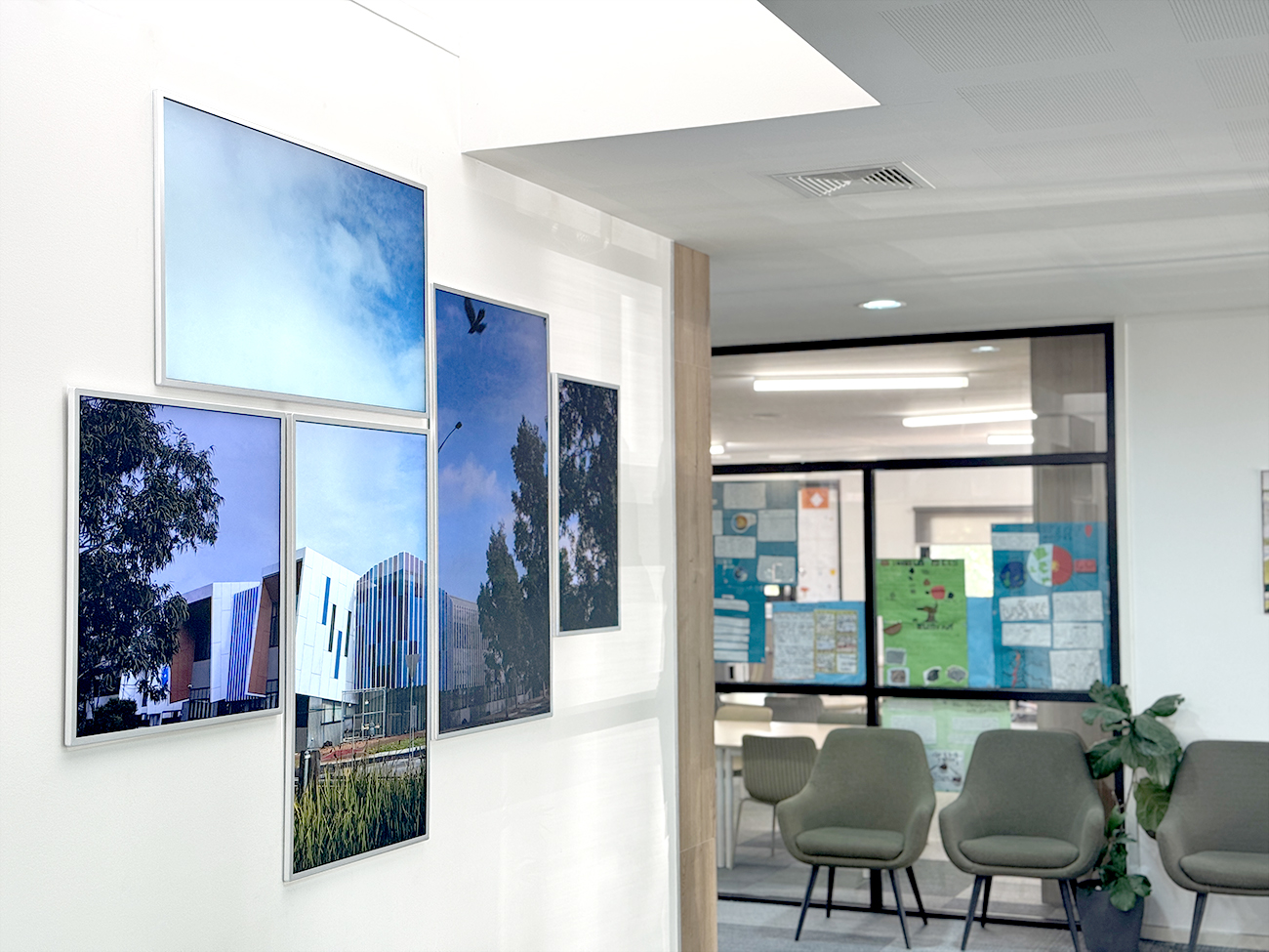 Southern Cross Grammar Videri Digital Canvas Display Melbourne Australia