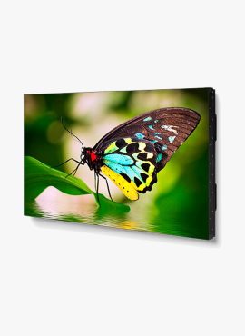 Sharp UN552 55" Ultra-Narrow Bezel Display Melbourne, Australia